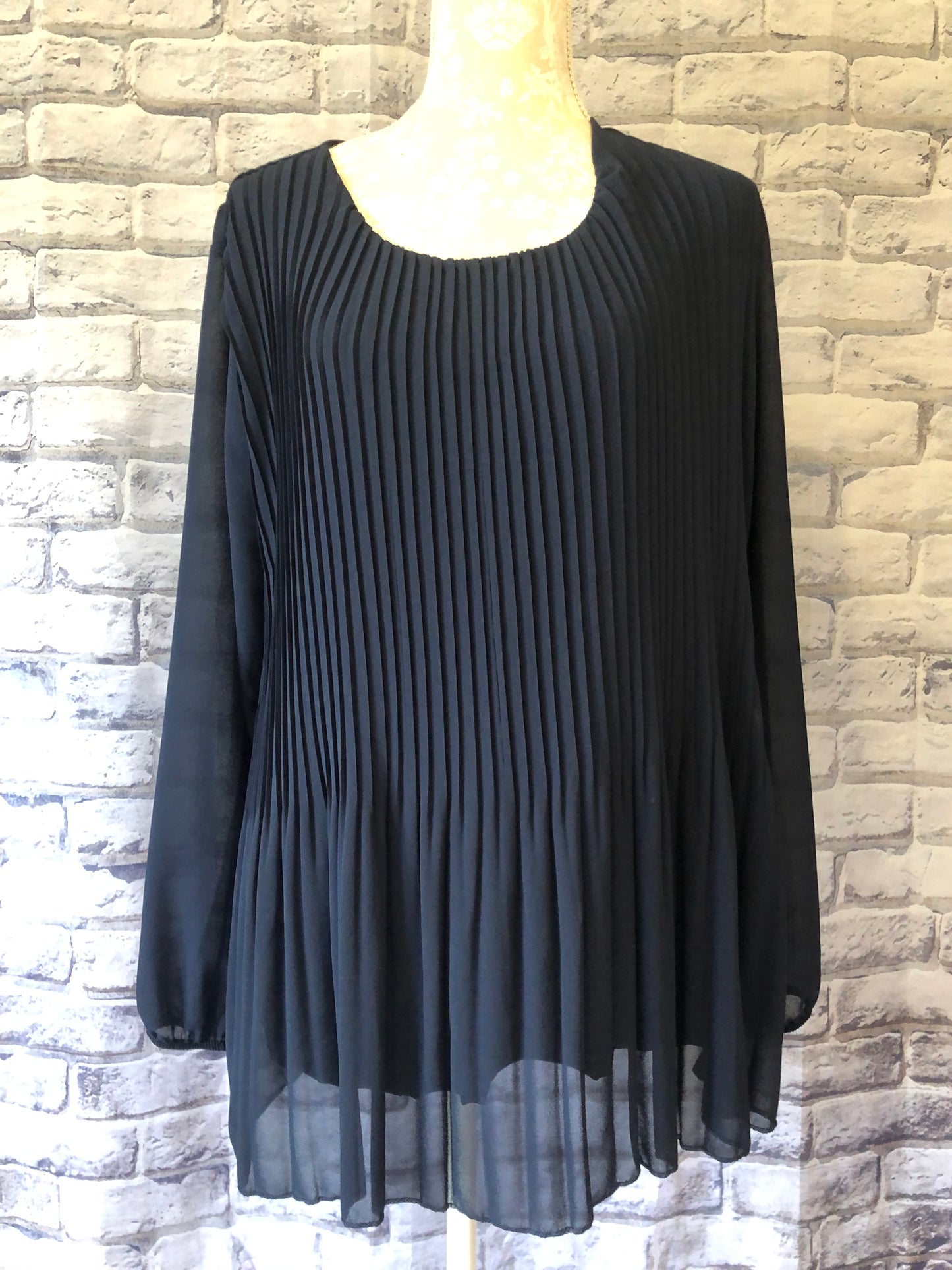 Sheer Pleated Blouse