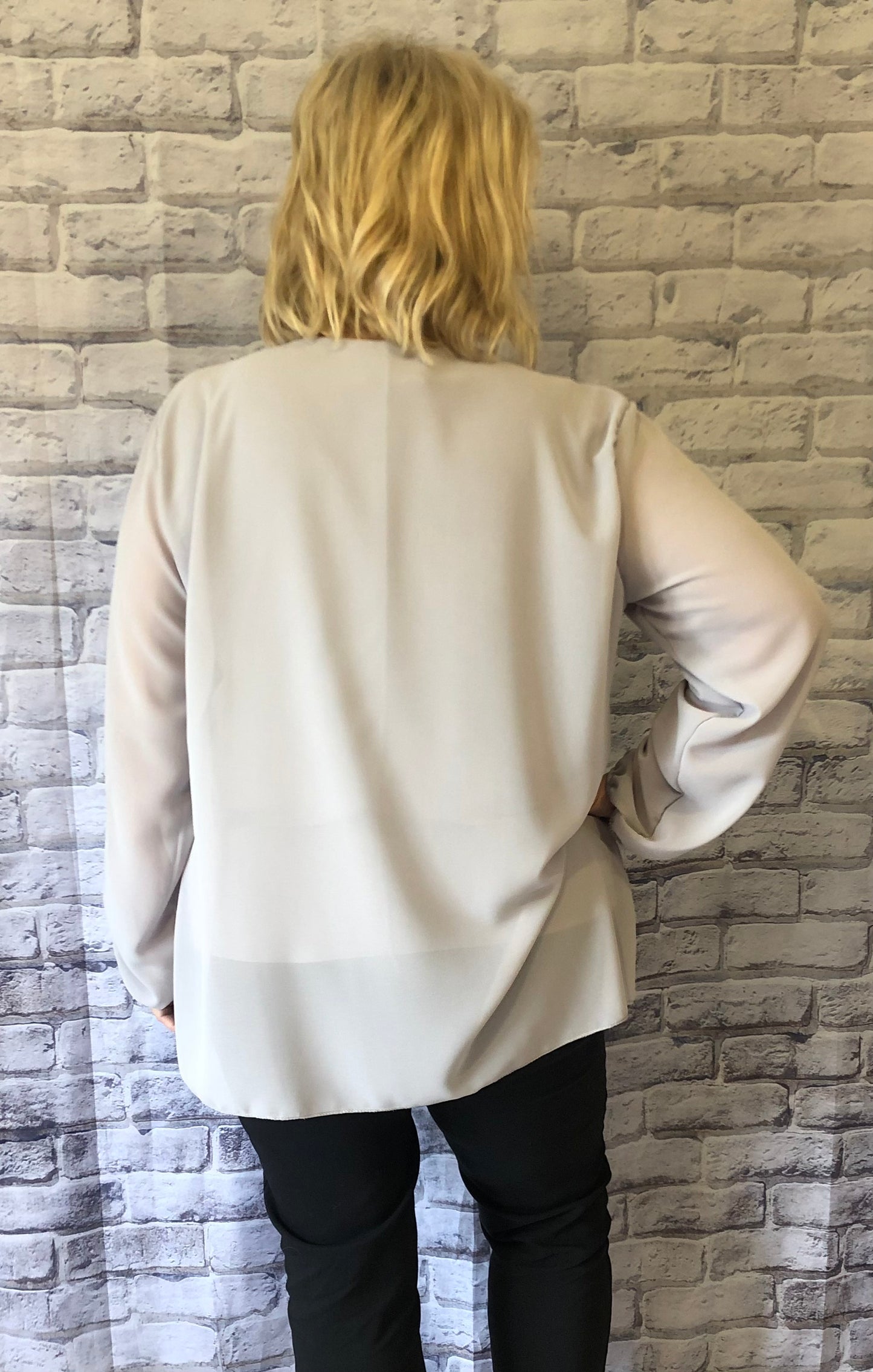 Sheer Pleated Blouse