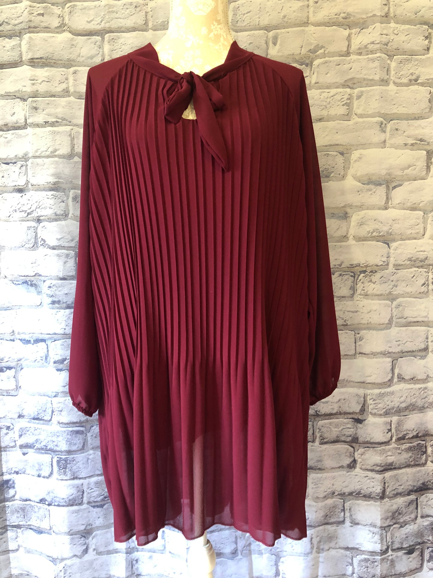 Sheer Pleated Blouse (Longer Length)