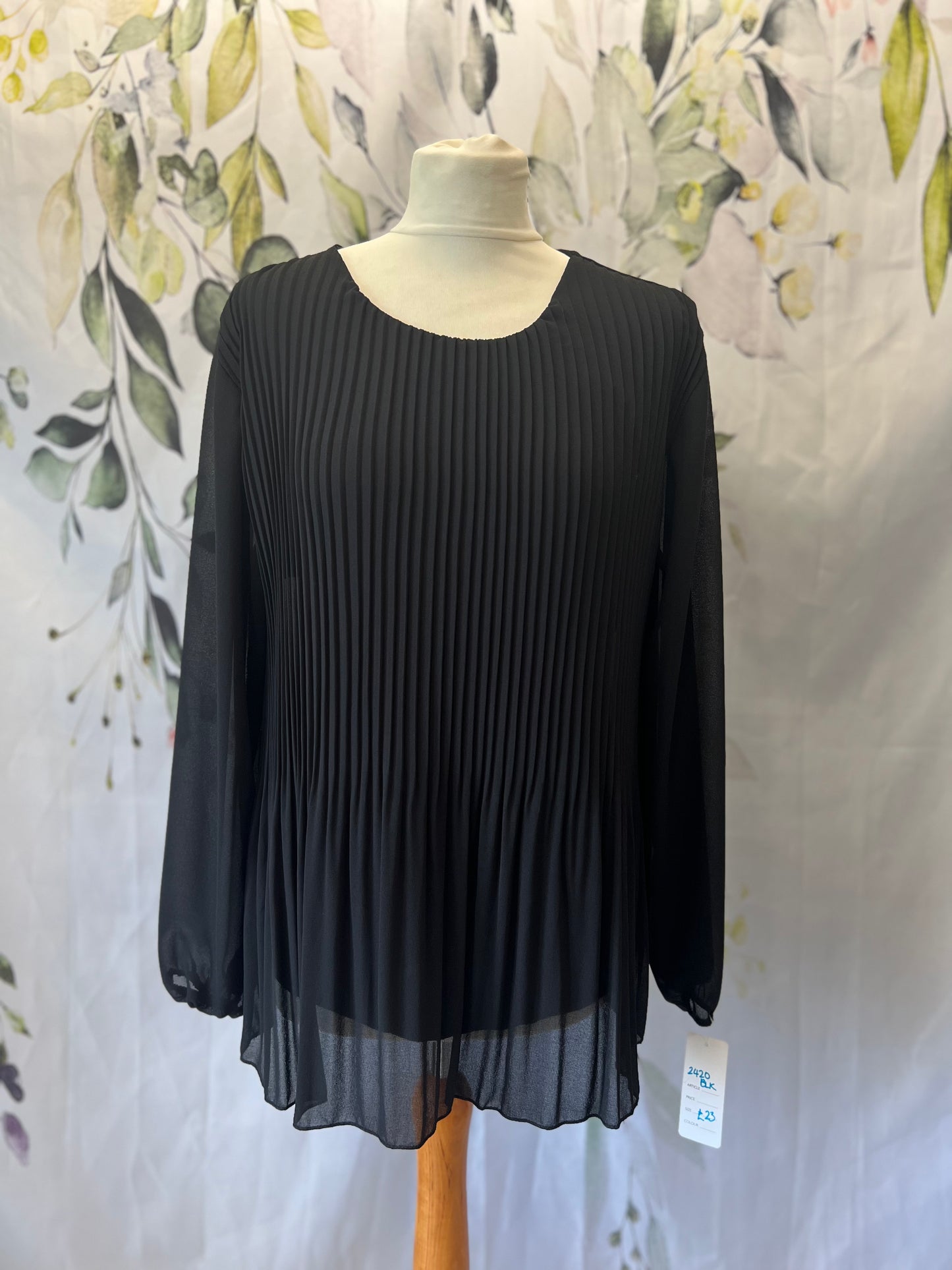Sheer Pleated Blouse